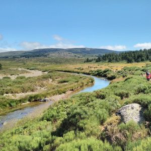 IMG_20200731_193443_385