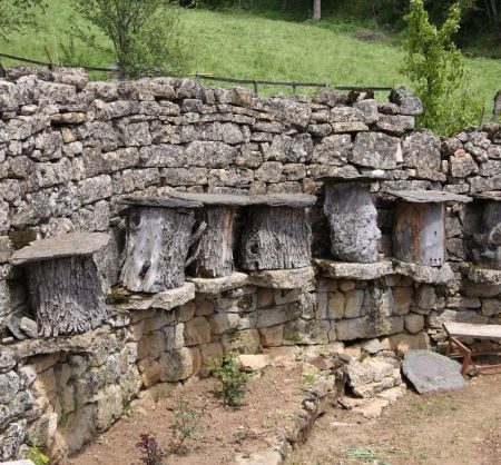 Mont-Lozère-séjour-chemins-francis-rucher