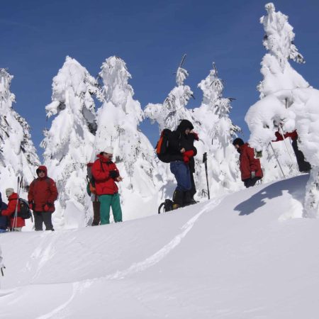 photosneigefevrierfrancis2009-150-scaled